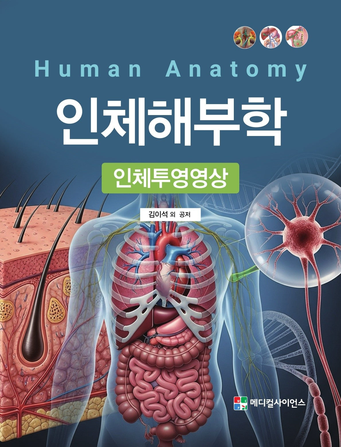 인체해부학: 인체투영영상
