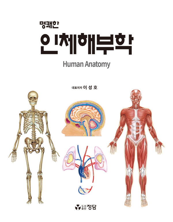 인체해부학(명쾌한)
