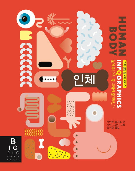 인포그래픽스 Infographics: 인체(과학 팡팡 돋보기 시리즈)