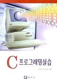 C 프로그래밍실습