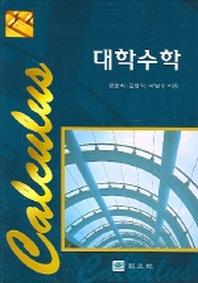 대학수학 (금영희 외)