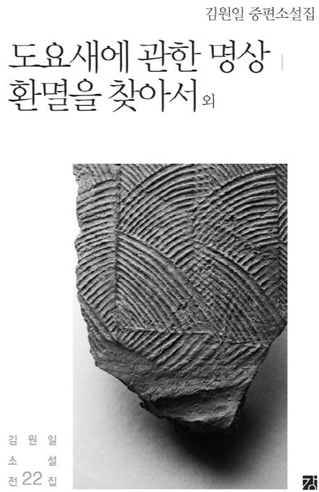 도요새에 관한 명상 환멸을 찾아서 외(김원일 소설전집 22)