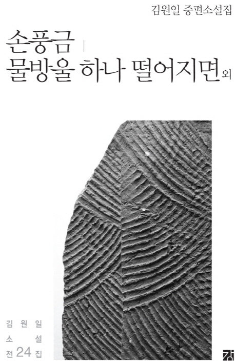 손풍금 물방울 하나 떨어지면 외(김원일 소설전지 24)