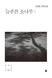 늘푸른 소나무 1(김원일 소설전집 10)