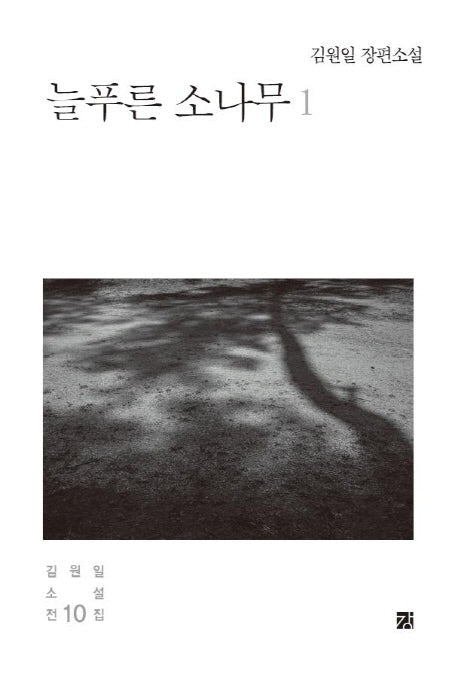 늘푸른 소나무 1(김원일 소설전집 10)