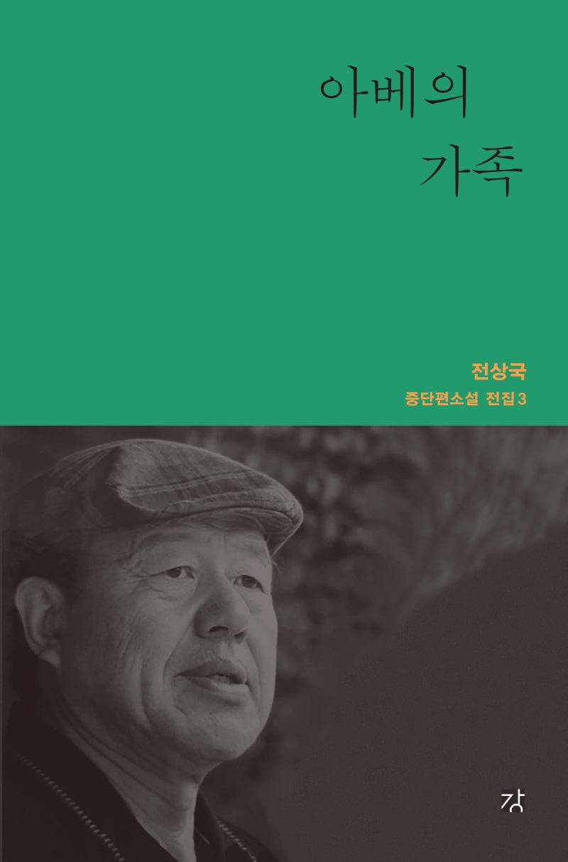 아베의 가족(전상국 중단편소설 전집 3)(양장본 HardCover)