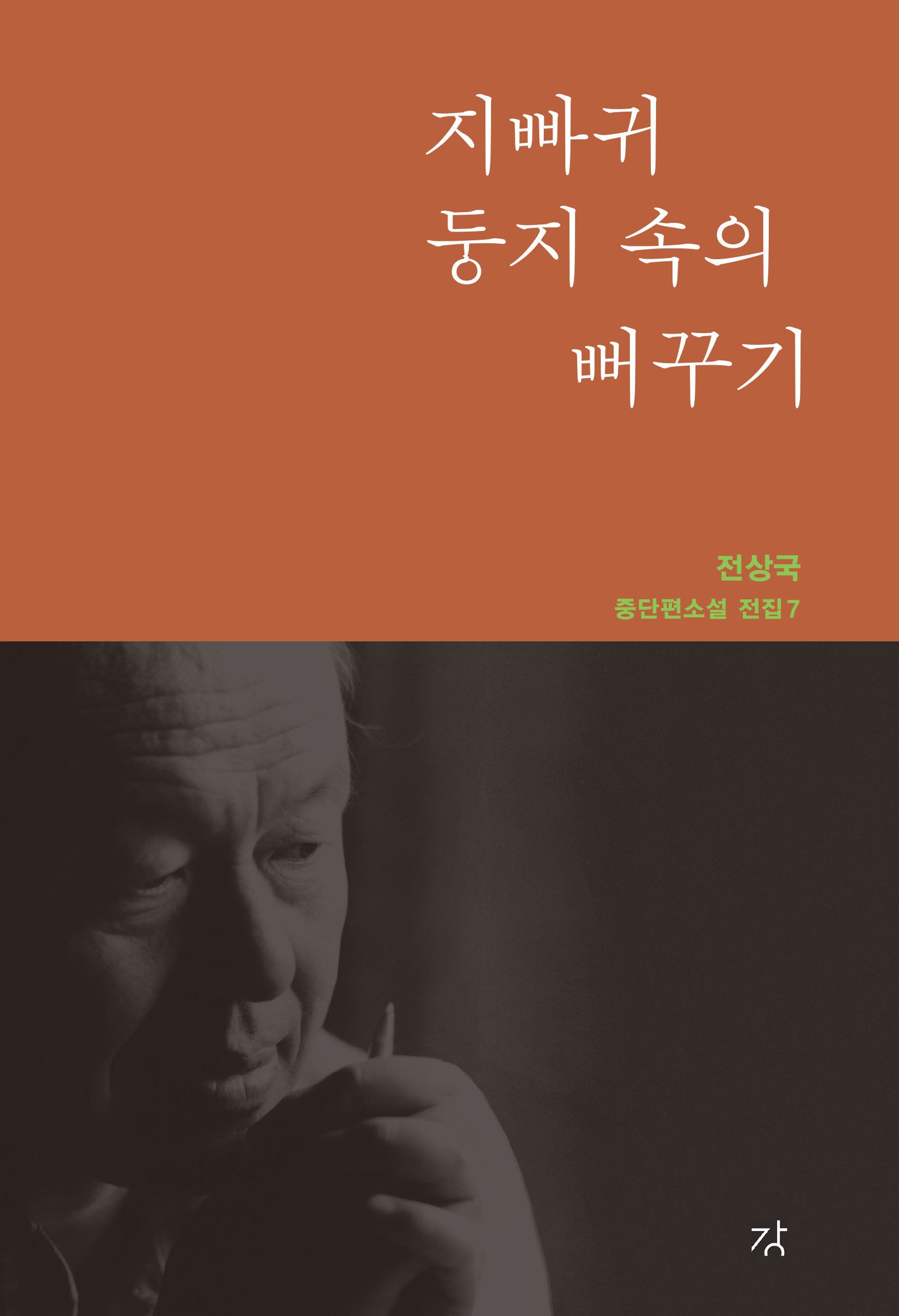 지빠귀 둥지 속의 뻐꾸기(중단편소설 전집 7)(양장본 Hardcover)