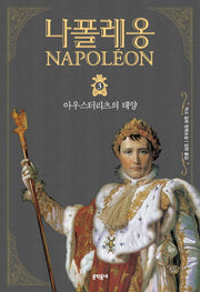 나폴레옹 3: 아우스터리츠의 태양(문학동네 세계문학)