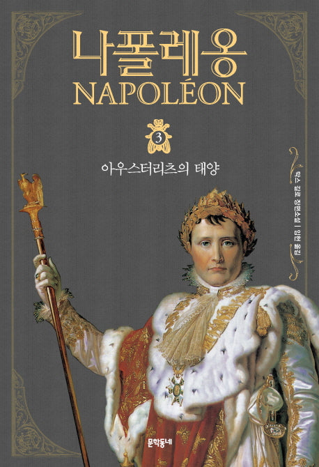 나폴레옹 3: 아우스터리츠의 태양(문학동네 세계문학)