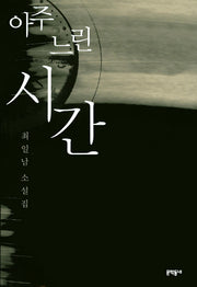 아주 느린 시간(문학동네 소설집)