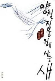 양철지붕 위에 사는 새