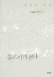 물고기가 온다