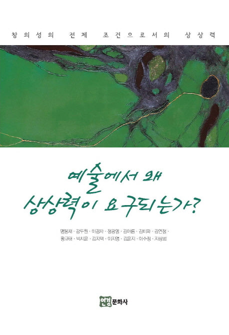 예술에서 왜 상상력이 요구되는가?(양장본 Hardcover)