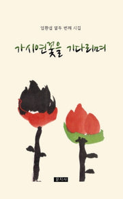 가시연꽃을 기다리며