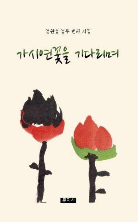 가시연꽃을 기다리며