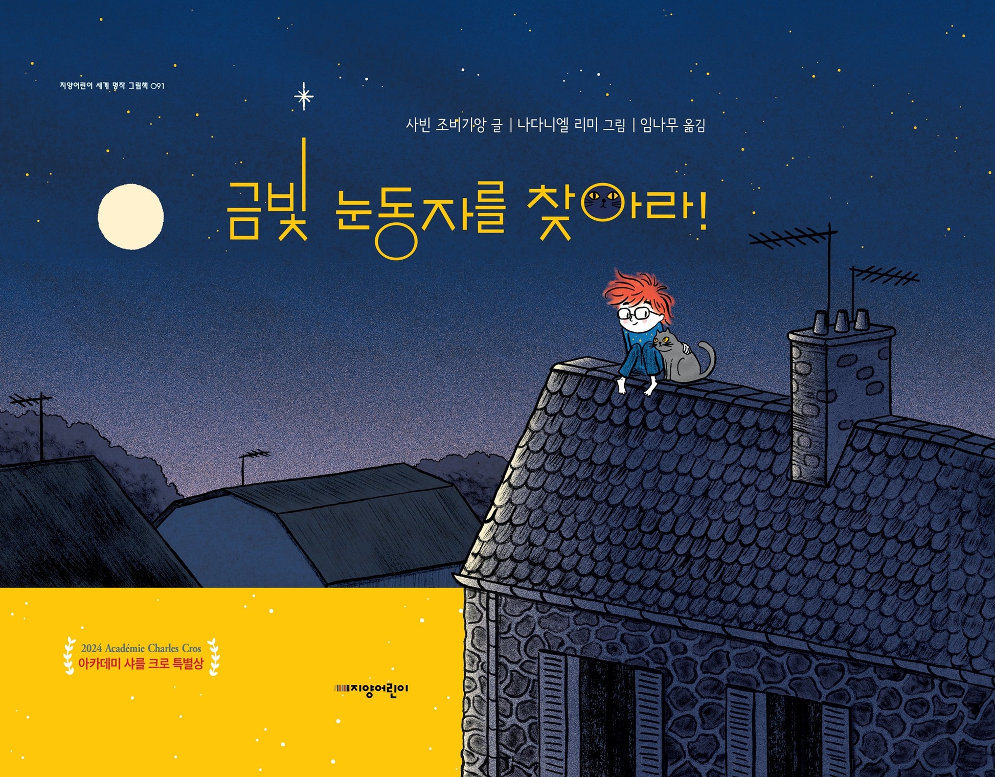 금빛 눈동자를 찾아라!(지양어린이 세계명작그림책 91)