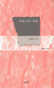 석류나무 서쪽(반시시인선 6)