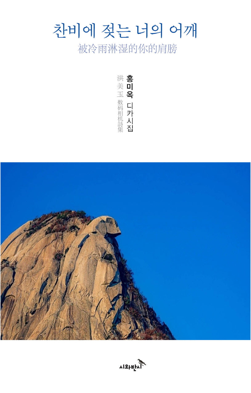 찬비에 젖는 너의 어깨(디카시인선 3)