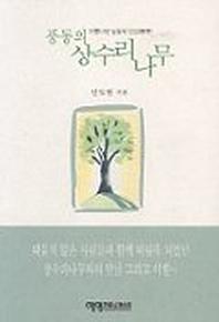 풍동의 상수리 나무