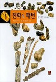 진화의 패턴