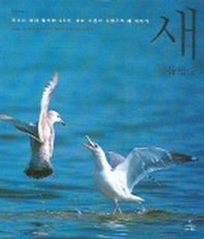 새(자연과 인간 5)