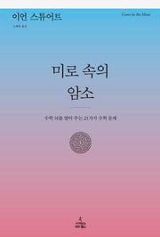 미로 속의 암소(양장본 HardCover)