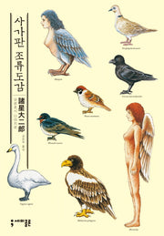 사가판 조류도감(세미콜론 코믹스)