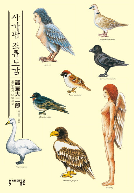 사가판 조류도감(세미콜론 코믹스)
