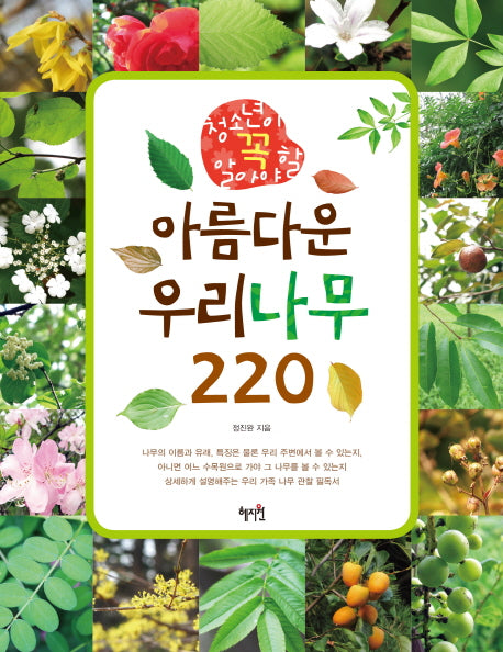 아름다운 우리나무 220(청소년이 꼭 알아야 할)
