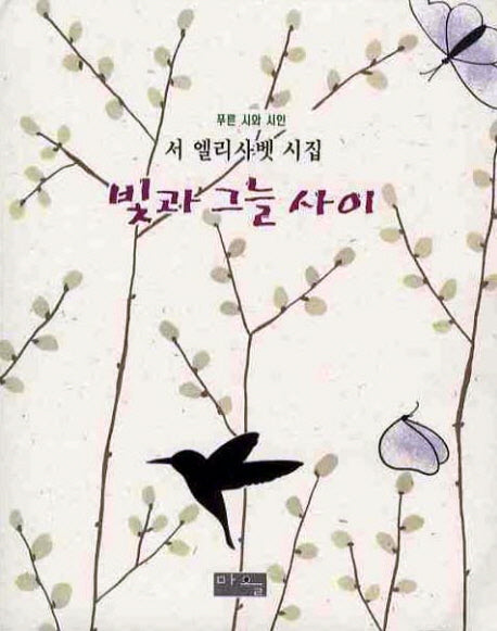 빛과 그늘 사이