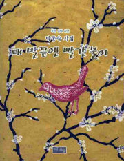 내 발끝엔 빨간 불이