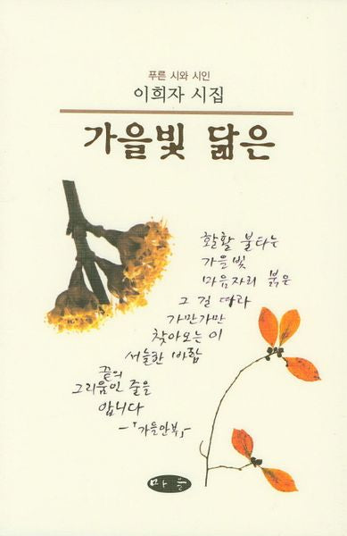 가을빛 닮은(양장본 HardCover)
