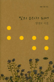 빛의 소리가 되어(푸른 시와 시인)(양장본 HardCover)