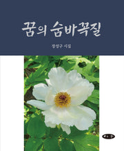 꿈의 숨바꼭질