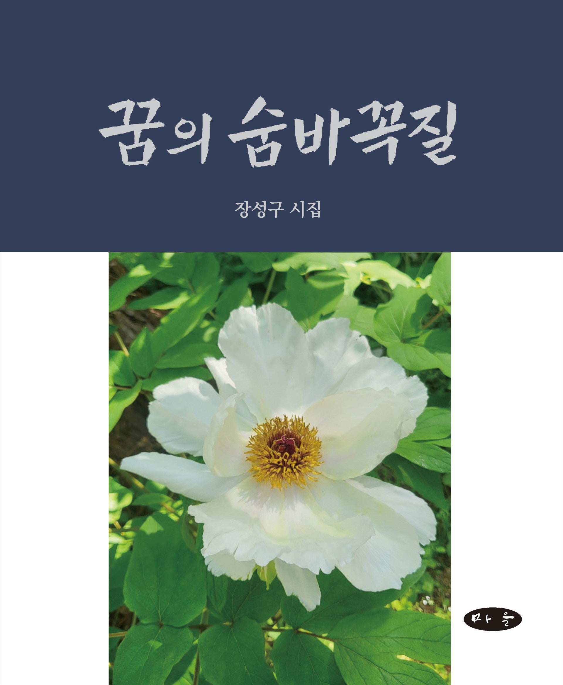 꿈의 숨바꼭질