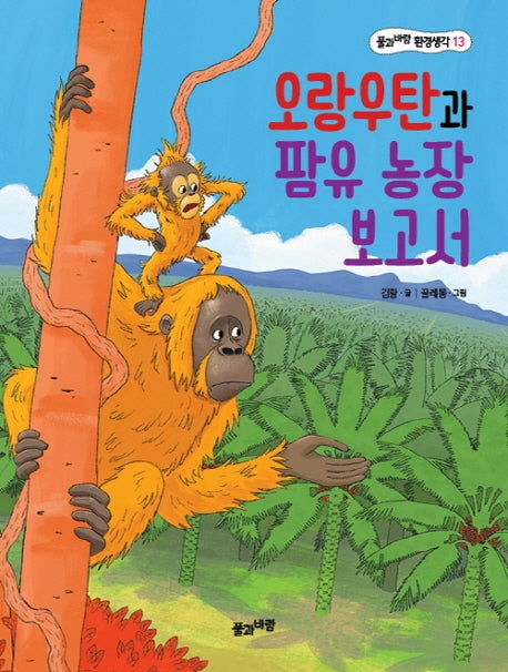 오랑우탄과 팜유 농장 보고서(풀과바람 환경생각 13)