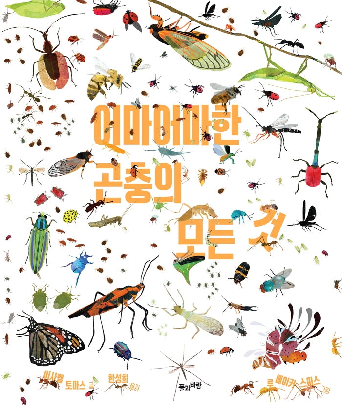 어마어마한 곤충의 모든 것(양장본 Hardcover)