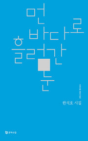 먼 바다로 흘러간 눈(시인수첩 시인선 13)