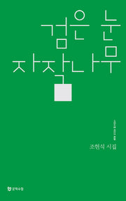 검은 눈 자작나무(시인수첩시인선 19)