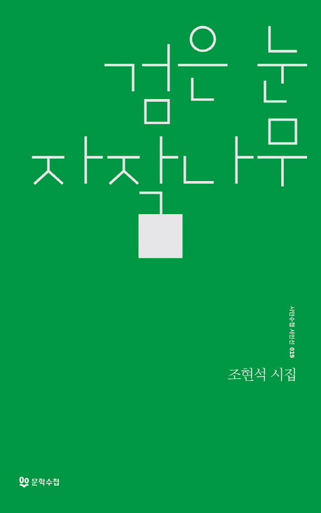 검은 눈 자작나무(시인수첩시인선 19)