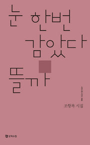 눈 한번 감았다 뜰까(시인수첩 시인선 21)