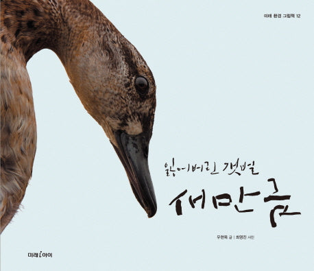 잃어버린 갯벌 새만금(미래 환경 그림책 12)(양장본 Hardcover)
