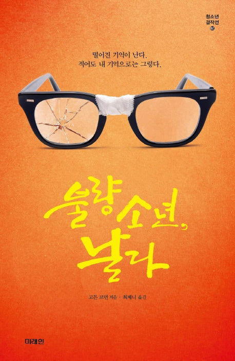 불량소년, 날다(미래인 청소년 걸작선 62)
