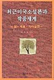 최근 미국소설론과 작품세계