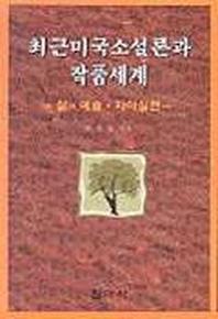 최근 미국소설론과 작품세계