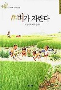 벼가 자란다(어린이 들살림 4)