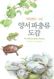 양서 파충류 도감(세밀화로 그린)(양장본 Hardcover)