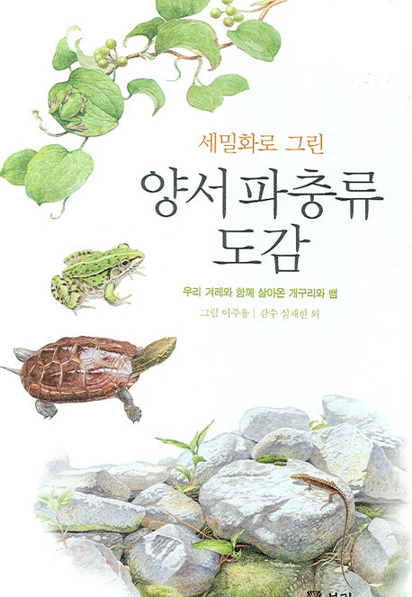양서 파충류 도감(세밀화로 그린)(양장본 Hardcover)