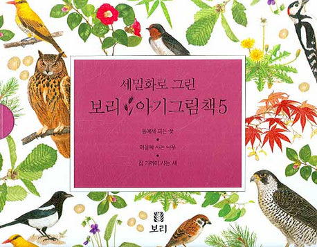 보리 아기그림책 5(세밀화로 그린)(보드북)(전3권)
