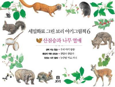 보리 아기그림책 6: 산짐승과 나무 열매(세밀화로 그린)(보드북)(전3권)